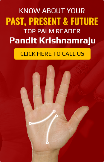 palm-reading-home-service-img